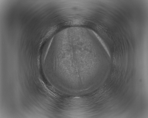 X0000052570206200507221511