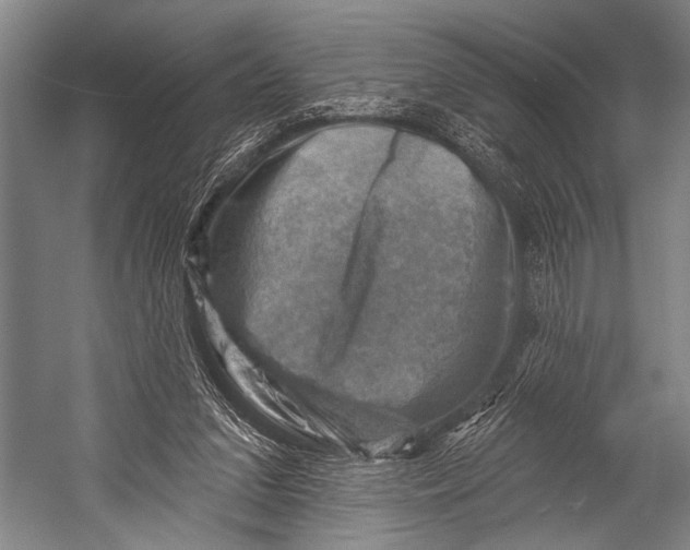 X0000052570207200507221511