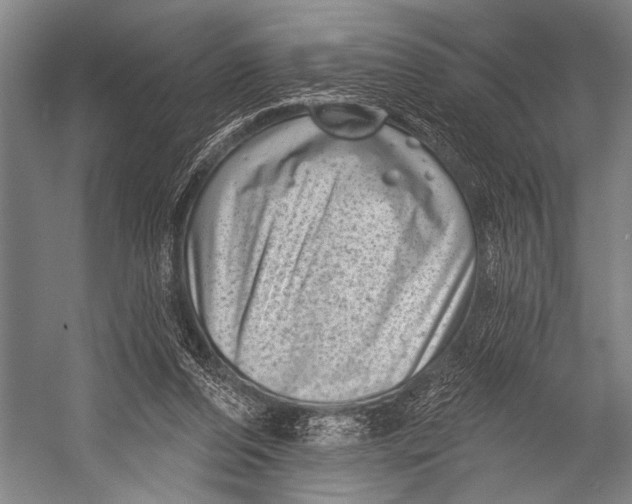 X0000052570208200507221511