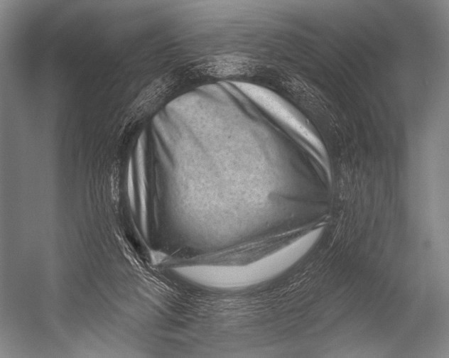 X0000052570210200507221511