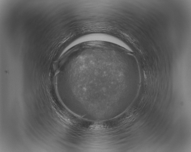 X0000052570211200507221511