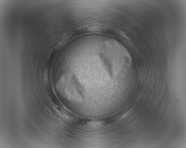 X0000052570213200507221510