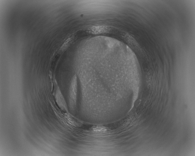 X0000052570214200507221510