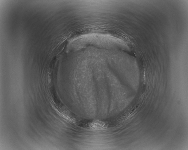 X0000052570215200507221510