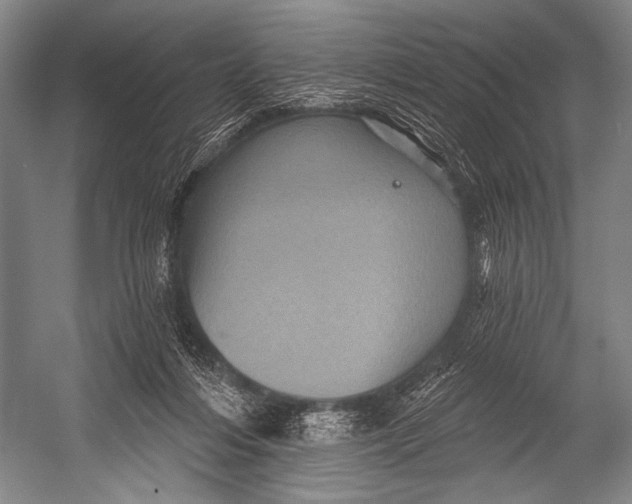 X0000052570216200507221510