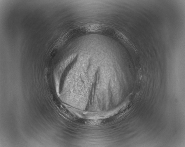 X0000052570217200507221510