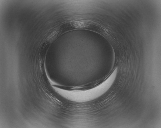 X0000052570219200507221510