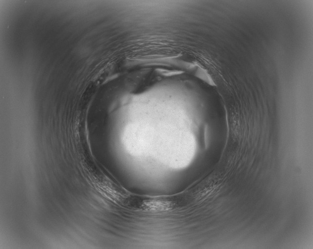 X0000052570221200507221510