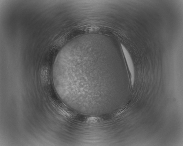 X0000052570222200507221510