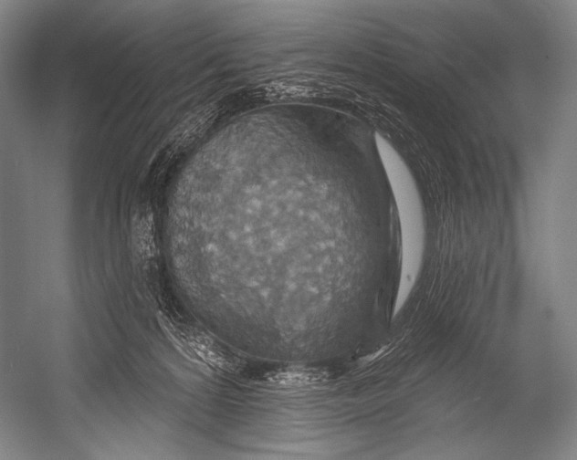 X0000052570224200507221510