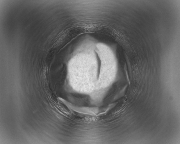 X0000052570225200507221510