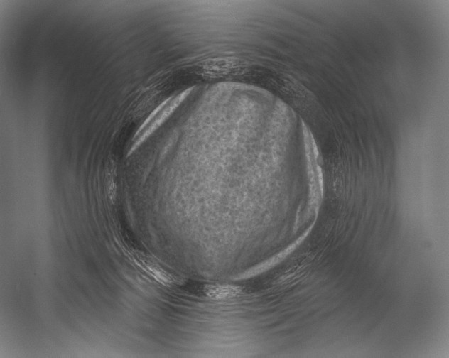 X0000052570226200507221510