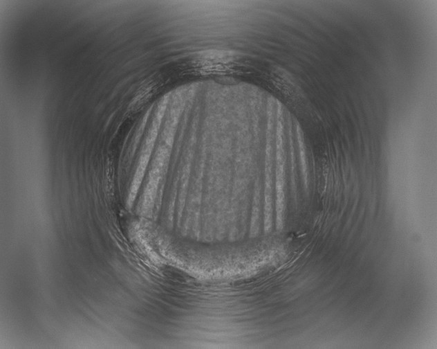 X0000052570228200507221510