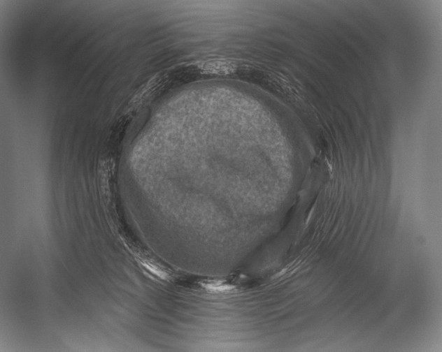 X0000052570229200507221510