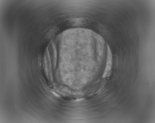 X0000052570230200507221510