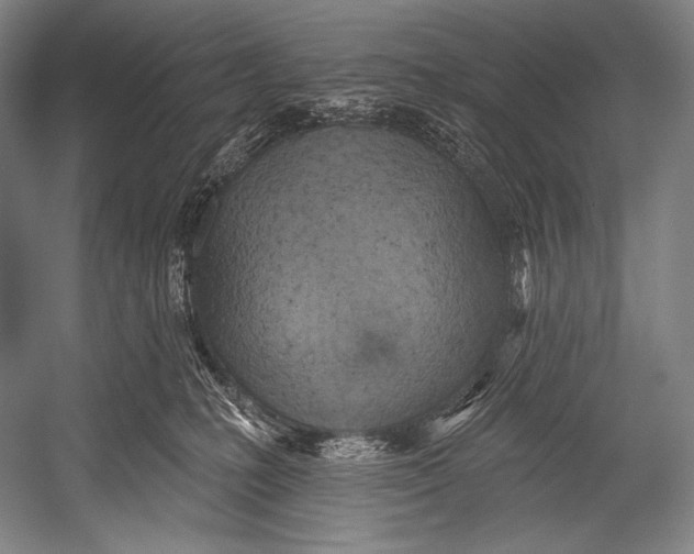 X0000052570231200507221510