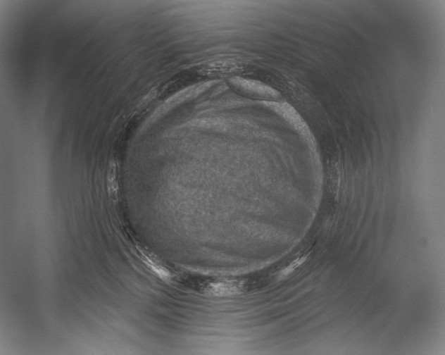 X0000052570232200507221510