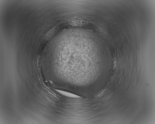 X0000052570233200507221510