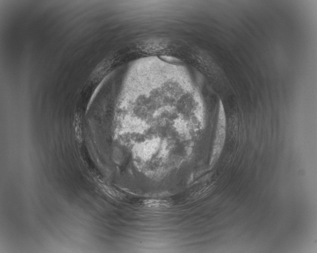 X0000052570234200507221510