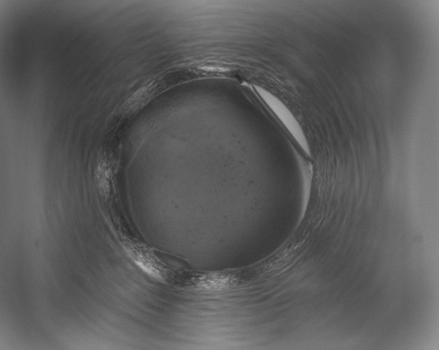 X0000052570235200507221510