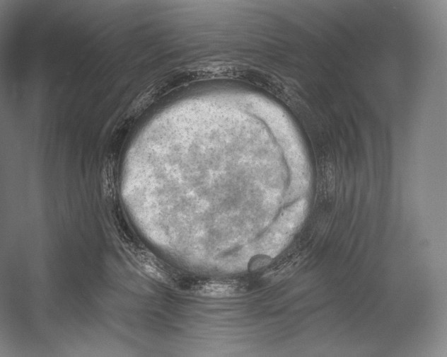 X0000052570236200507221510