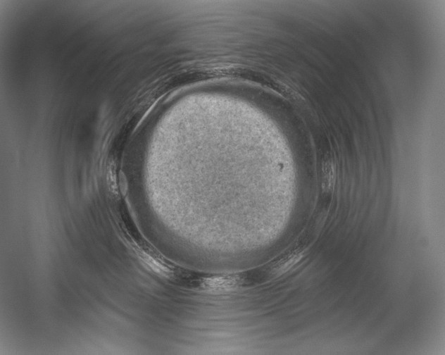 X0000052570238200507221510