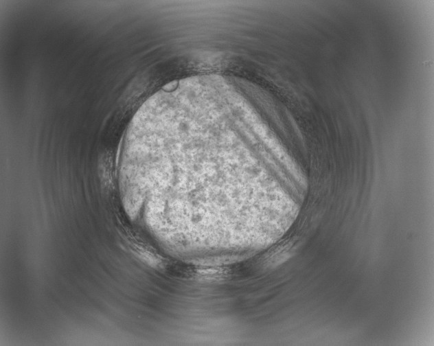 X0000052570240200507221510