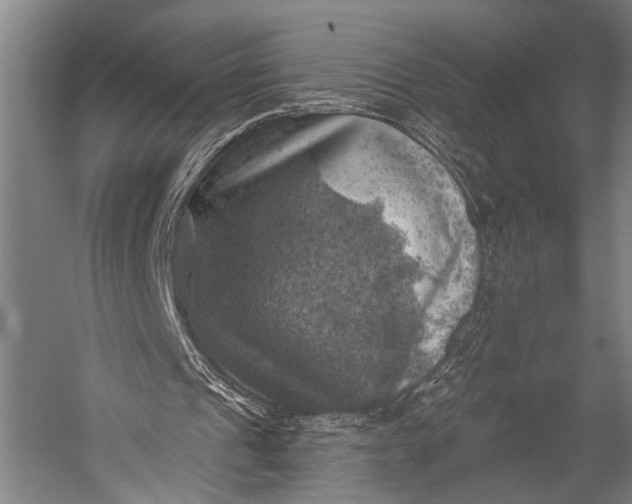 X0000052570241200507221509