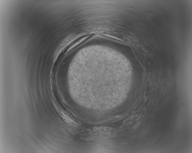 X0000052570242200507221509