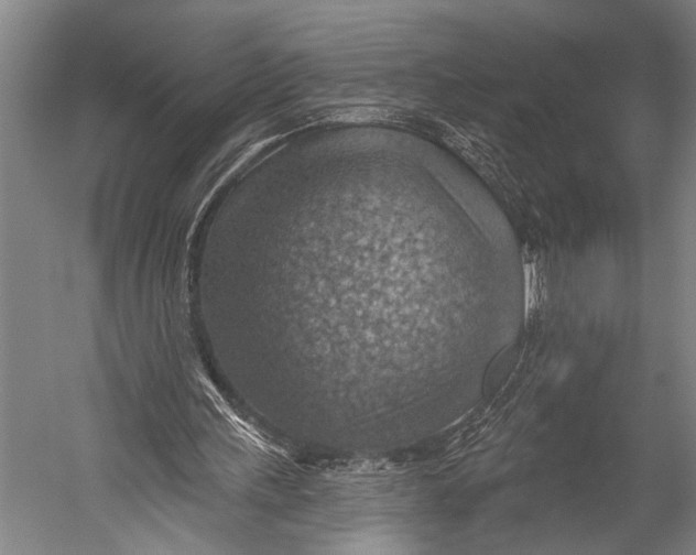 X0000052570243200507221509