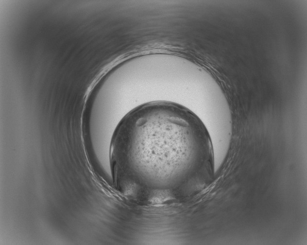 X0000052570244200507221509