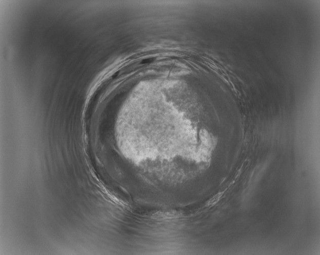 X0000052570245200507221509