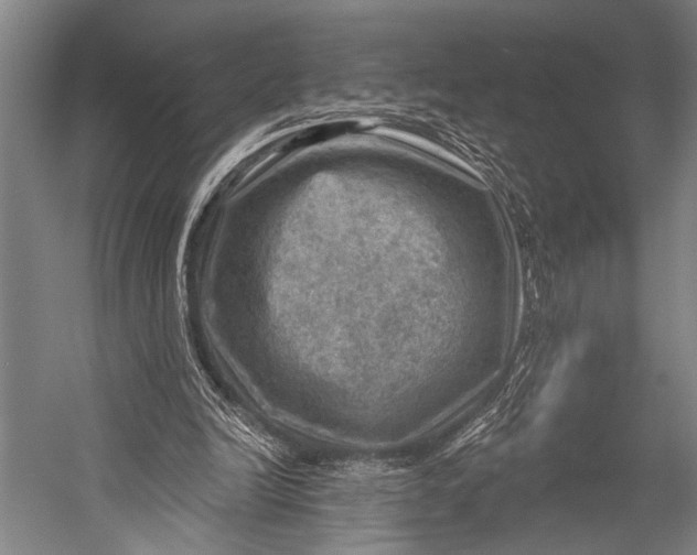 X0000052570246200507221509