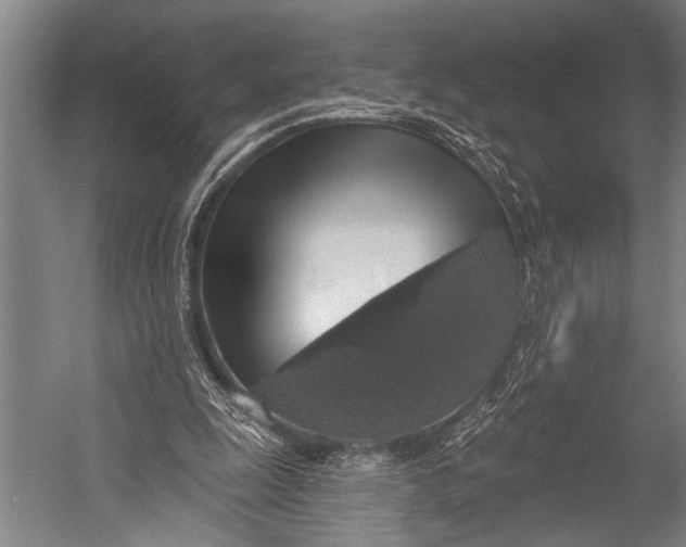 X0000052570247200507221509