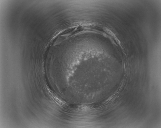 X0000052570249200507221509