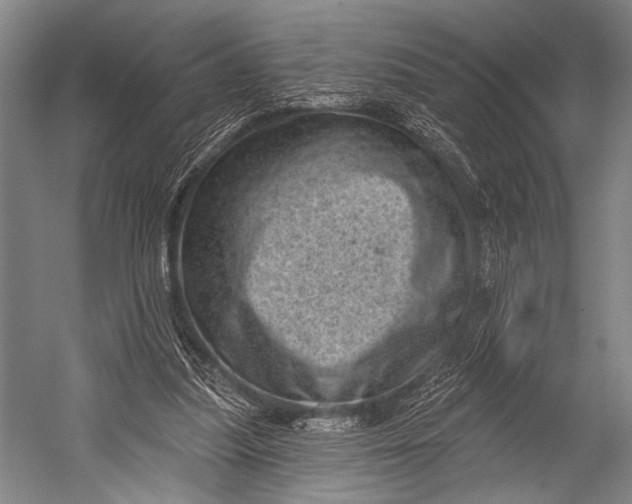 X0000052570251200507221509