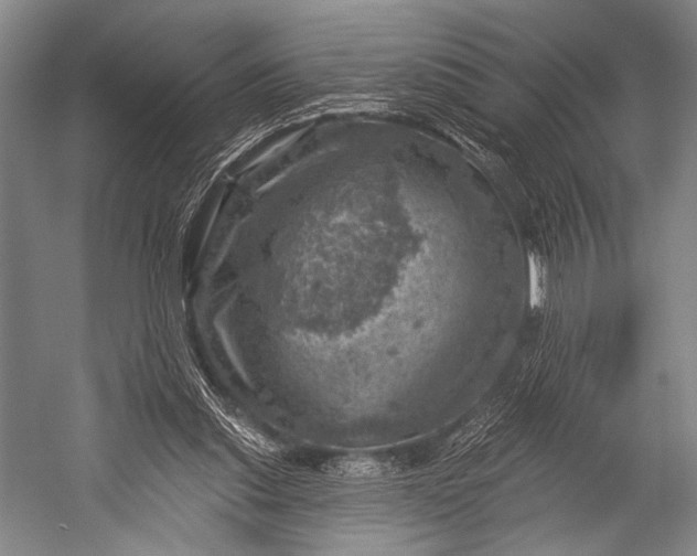 X0000052570253200507221509