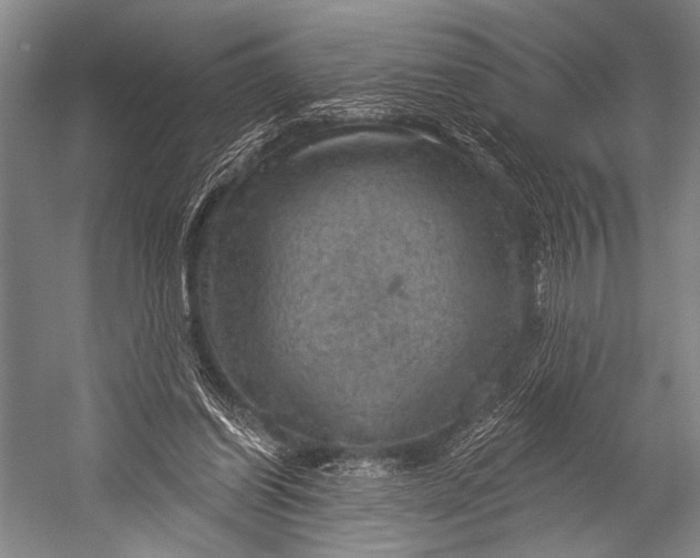 X0000052570254200507221509