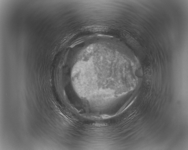 X0000052570255200507221509