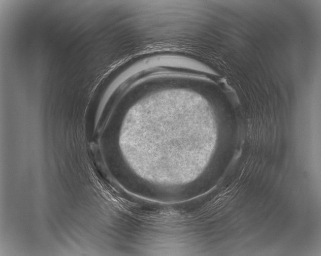 X0000052570256200507221509