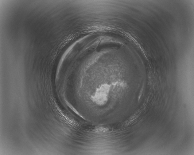 X0000052570257200507221509