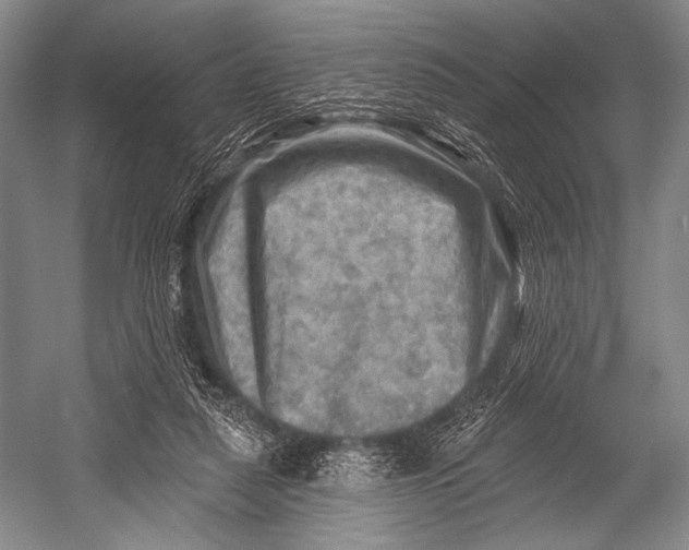 X0000052570259200507221510