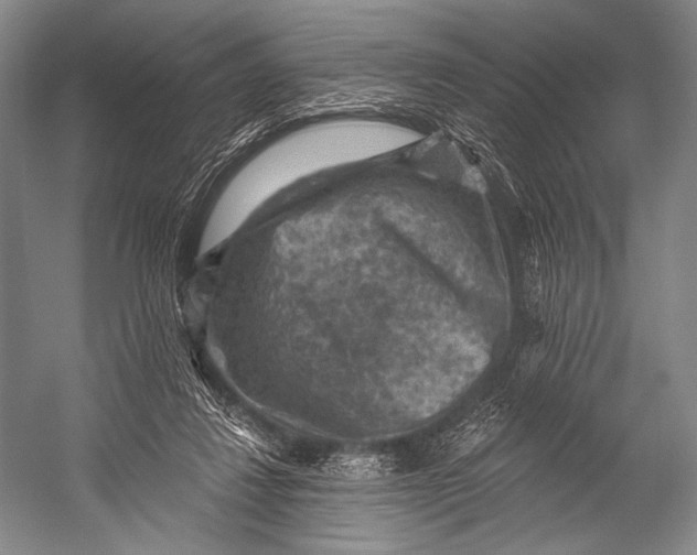 X0000052570260200507221510