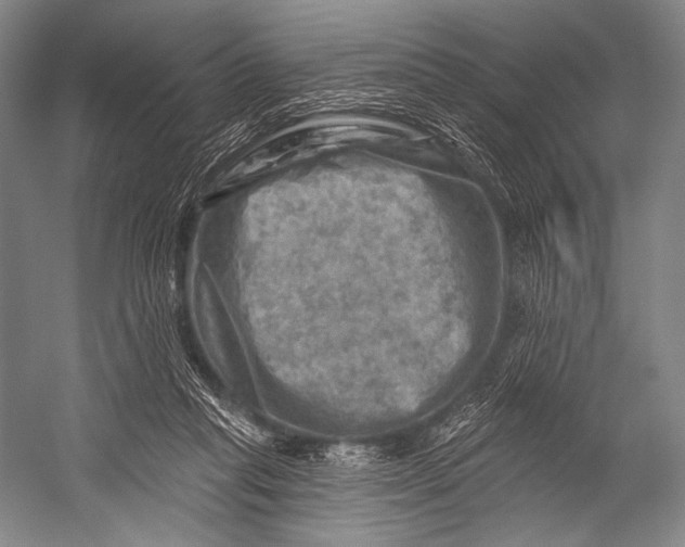 X0000052570261200507221510