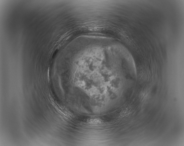 X0000052570262200507221510