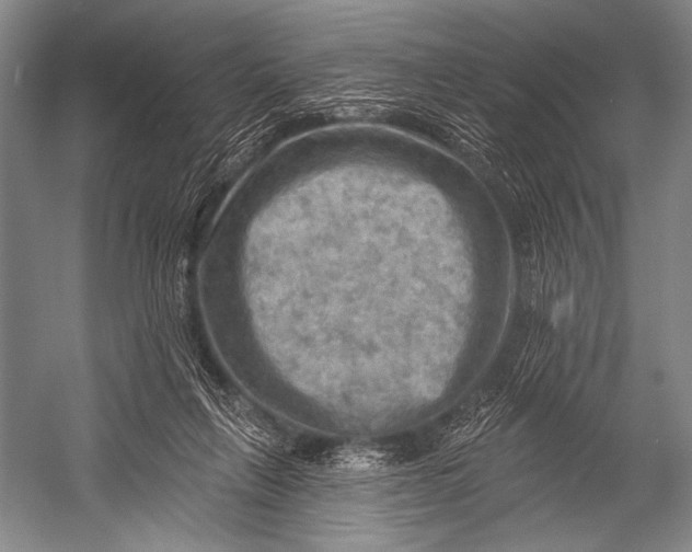 X0000052570263200507221510