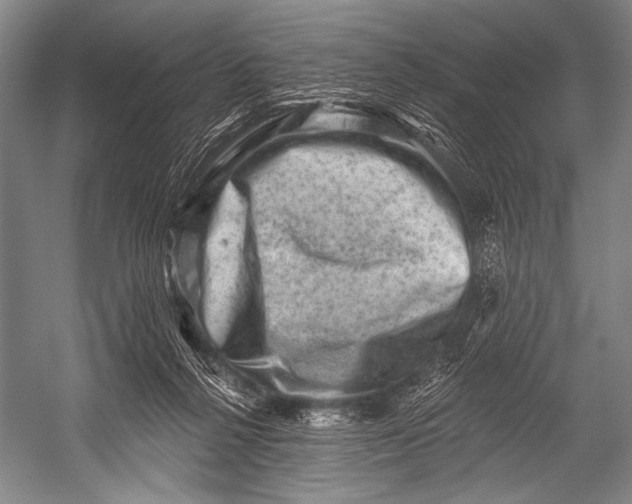 X0000052570264200507221510