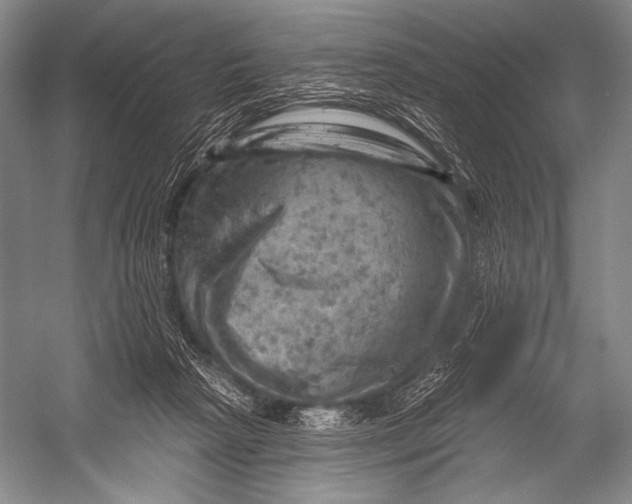 X0000052570265200507221510