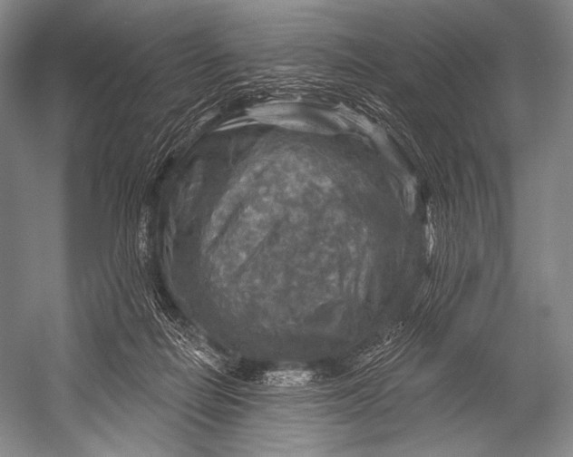 X0000052570266200507221510