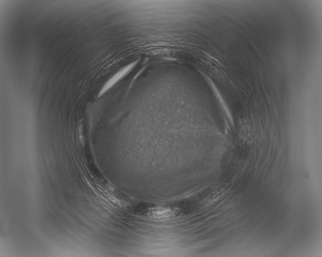 X0000052570267200507221510